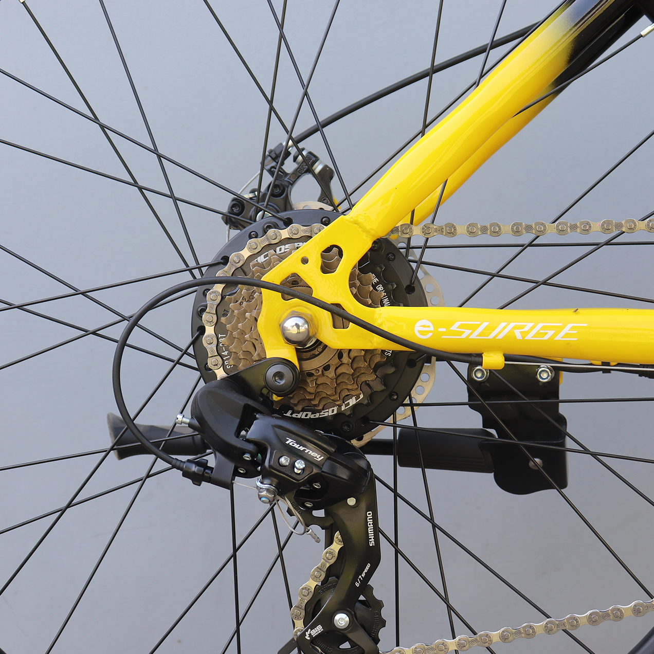 e surge ms 02(1).jpg